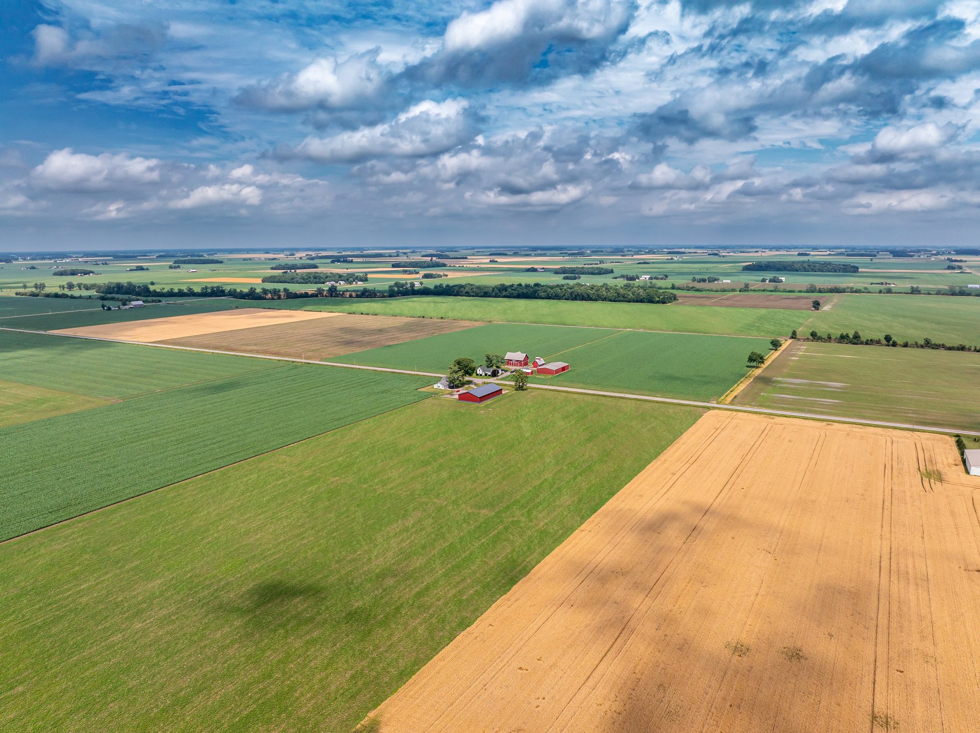 Farm fields with wheat and crops under sunny afternoon sky