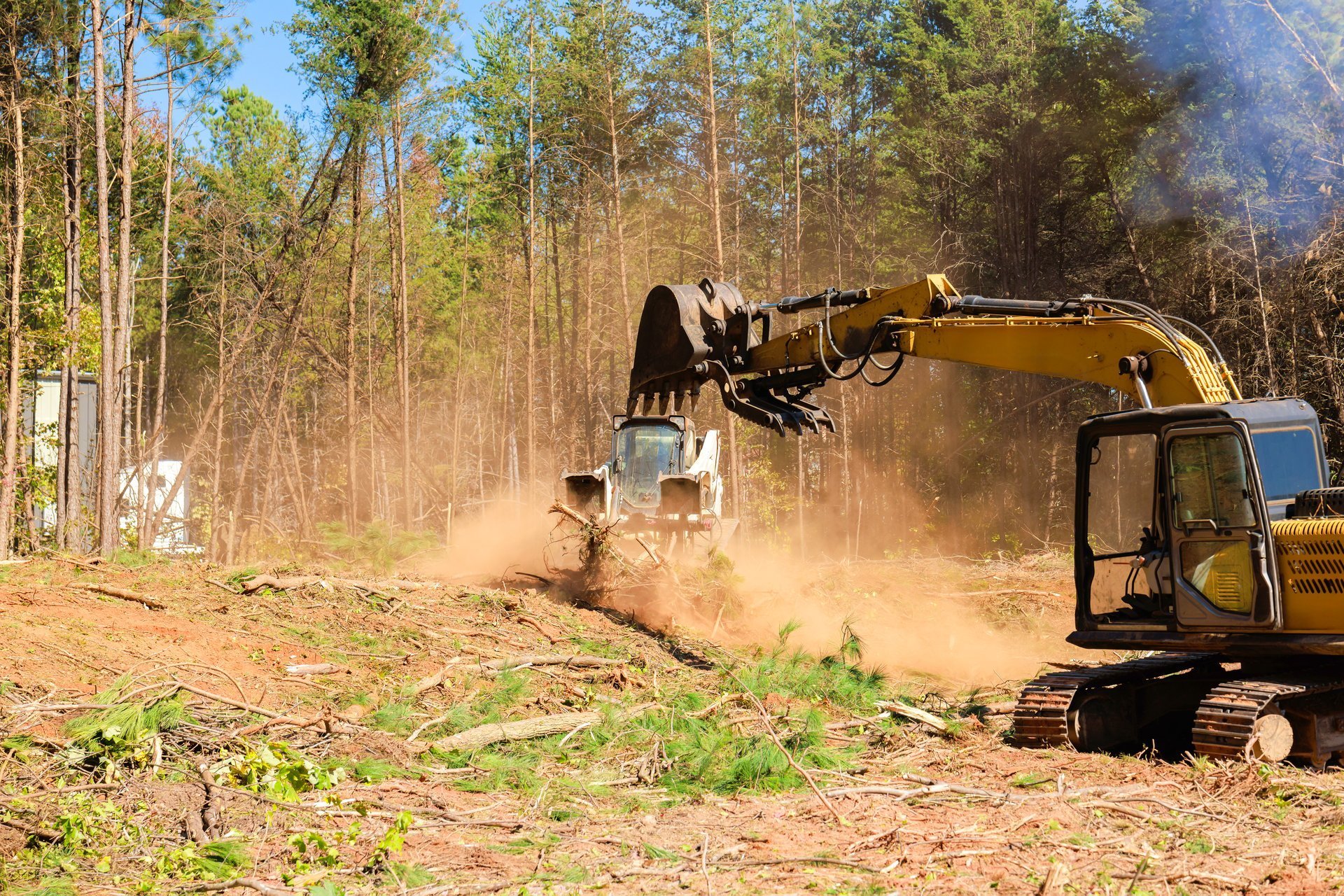 Excavators bulldozers remove trees debris from forested site to prepare for future construction.
